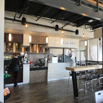 White Bison Coffee Shop | Centennial Blvd