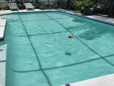 Pool Remodel After photos of pool remodel