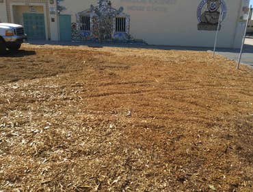 Photos by South Coast Stump Removal