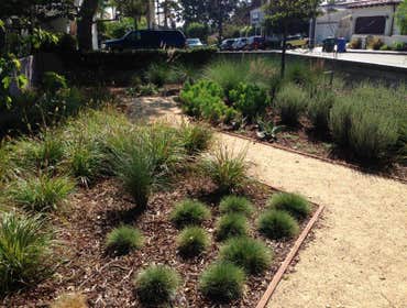 Small garden plantings