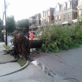Photo(s) from Anthonys Tree Care