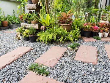 Photos by Talquin Landscaping #1