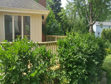 2016 Lake Forest Re-Deck Treated Re-Deck in Lake Forest illinois