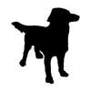 KLM Contractor Services LLC logo