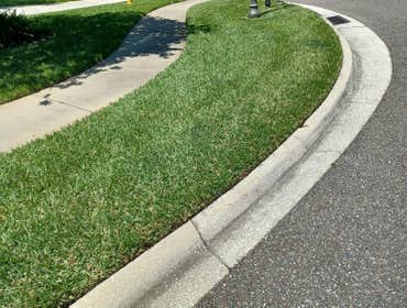 Photos by Marios Landscaping Jax #2
