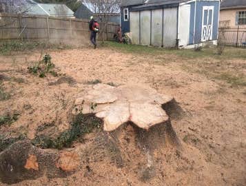 Photos by Don Cele Landscaping #1