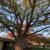 Photos by K&r Tree Service LLC #1