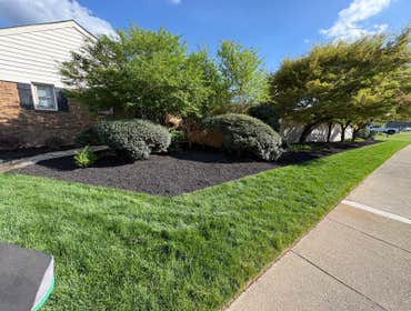Photos by Beauty Meister Landscaping LLC #2