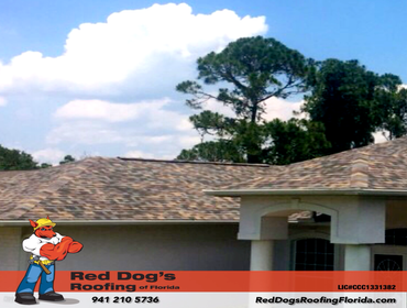 Photos by Red dog's Roofing of Florida #1