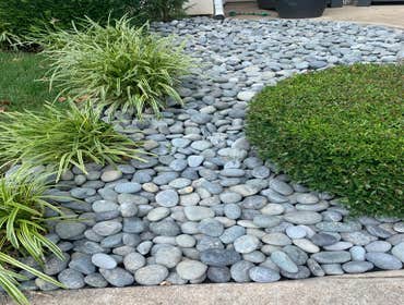Photos by Super Lawn Service #1
