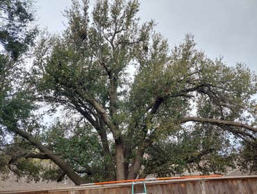 Photos by Ramos Landscaping LLC #41