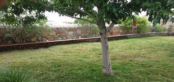 Sod and River Rock Wall
