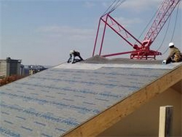 Our Work