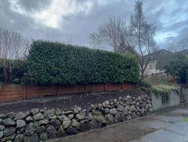 Photos by Maci Landscaping Services LLC #1