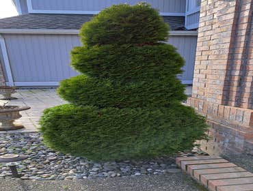 Photos by Best Northwestern Landscape Co #24