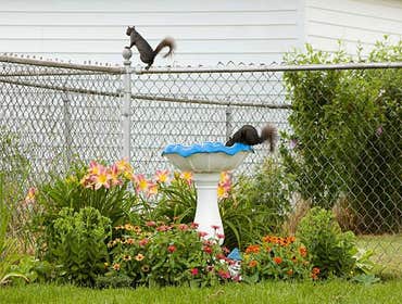 Fences