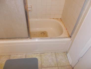 Bathroom mold removal