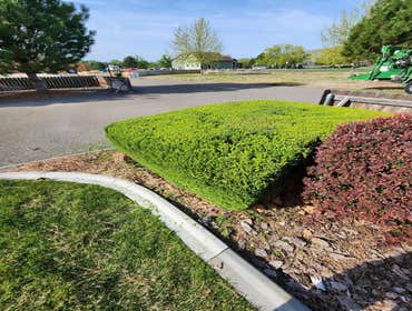 Photos by Artistic Treeworks #1