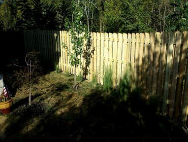 Fences