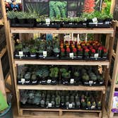 Photos by Decker's Nursery #1