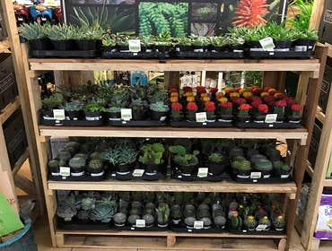 Photos by Decker's Nursery #1
