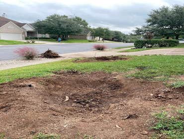 Photos by Atx Blue Star Tree Service #1