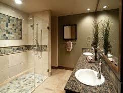 from a tub to a shower