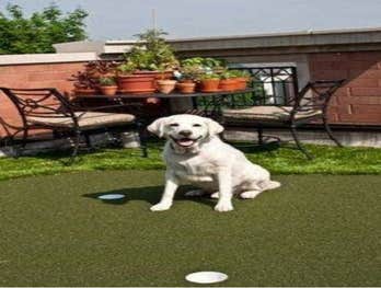 Photos by Artificial Greens & Lawns #1