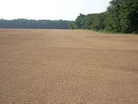 best topsoil