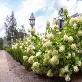 Origin Landscape Architecture