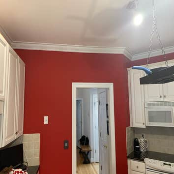 Photos by Carolina Painting Solutions LLC #1