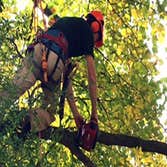 Ruiz Tree Service