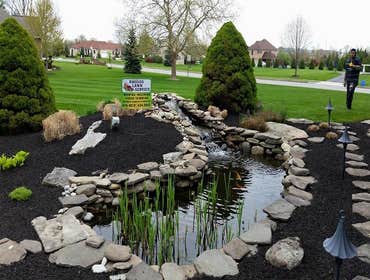 Photos by Amigos Lawn Care & Tree Service #1
