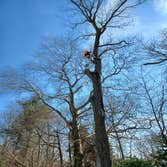 Photos by Moro Landscaping & Tree Services LLC #1