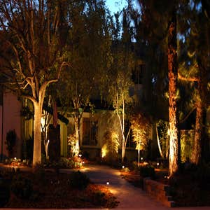 Photos from Gilligans Paradise Creations Inc