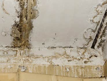 Photos by Morris Restoration LLC #1