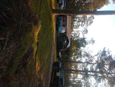 Photos by Service Restoration Pros LLC #1 A tree fell through the roof of this 3 bedroom house during Hurricane Ida. It left several gaping holes and a