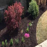 Photos by Morales Landscaping & Pinestraw Services #1
