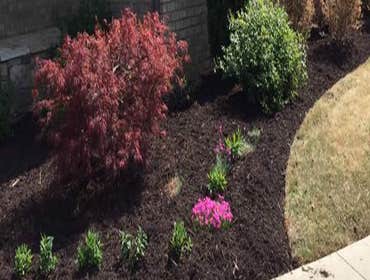 Photos by Morales Landscaping & Pinestraw Services #1
