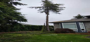 Cristian Lawn Care & Landscaping LLC