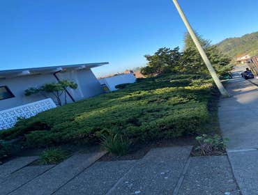 Photos by Rosales Garden and Tree Service #2