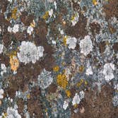 Bay Area Mold Services Project