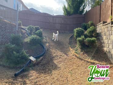 Photos by Renew Your Landscape LLC #2