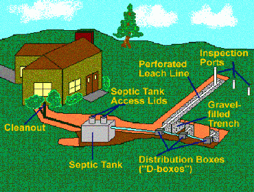 Septic Tank Pumping Service in Orlando Frank Gay Services is the #1 Septic System Service Company in Orlando. From Drain Field Installation to Grease 