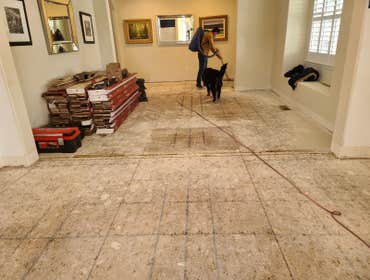 Photos by Max Flooring LLC #1