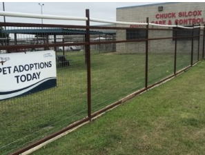 Fences