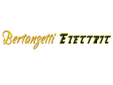 Bertanzetti Electric Llc Project 1