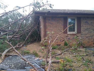 Photos by R Lasawi Tree Service LLC #1