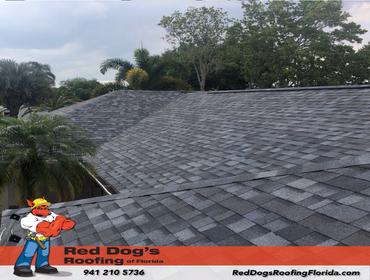 Photos by Red dog's Roofing of Florida #1