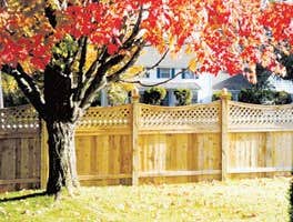 Fences